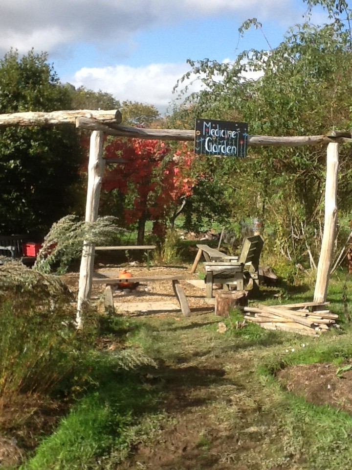 medicine_garden
