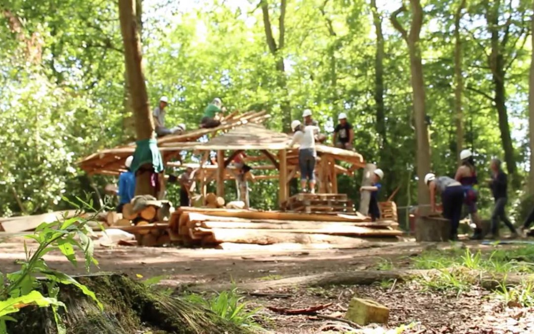 Natural House Building